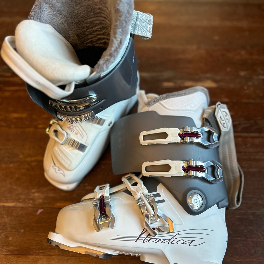 Nordica Downhill Ski Boots Nxt N6 Size Size 24/24.5